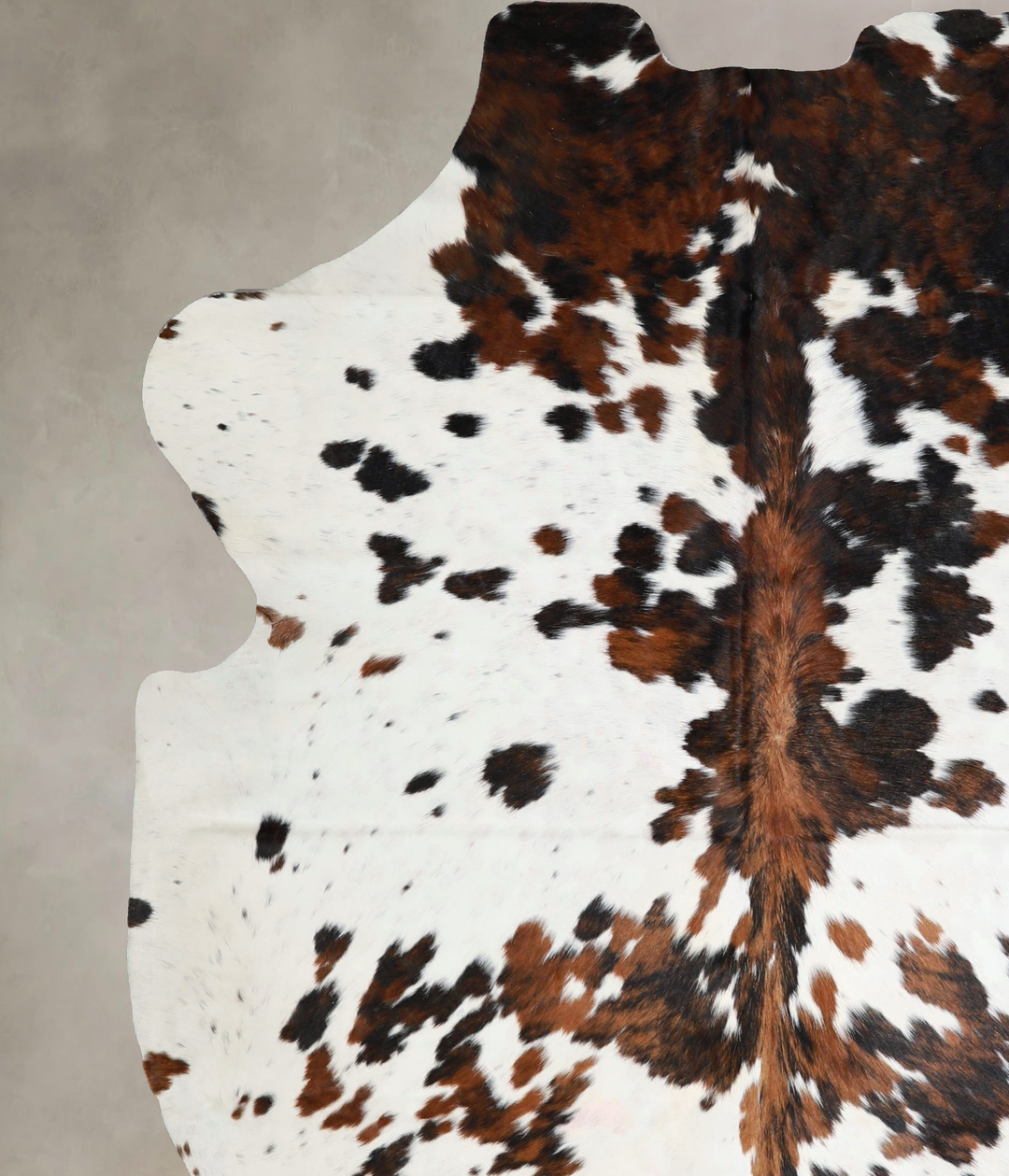 Tricolor X-Large European Cowhide Rug 7'6"H x 6'7"W #A41512 by Hudson 