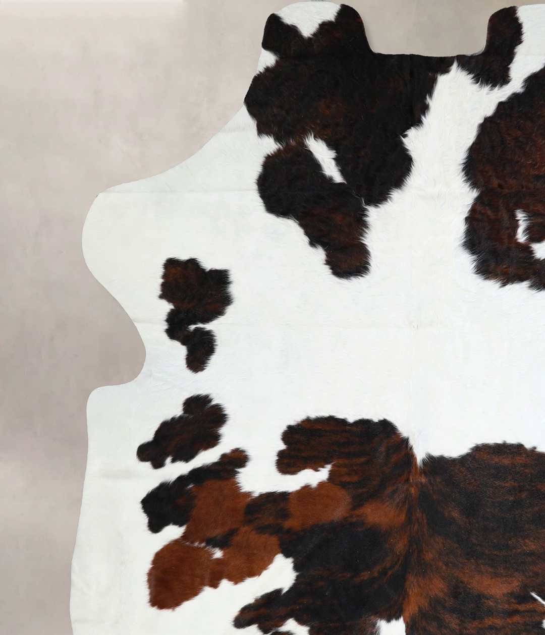 Tricolor X-Large European Cowhide Rug 7'4"H x 6'6"W #A41513 by Hudson 