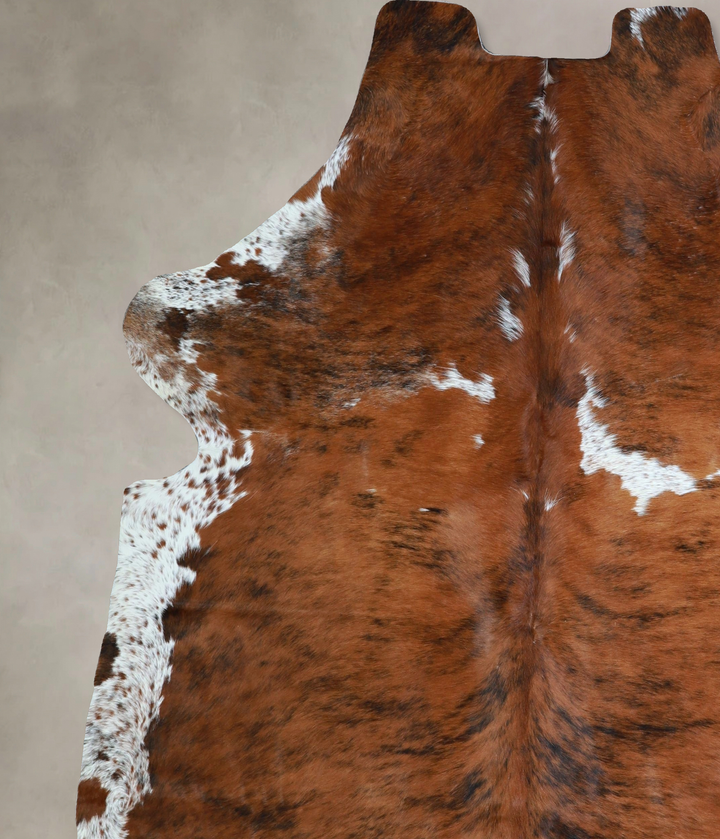 Tricolor X-Large European Cowhide Rug 7'4"H x 6'8"W #A41542 by Hudson Hides