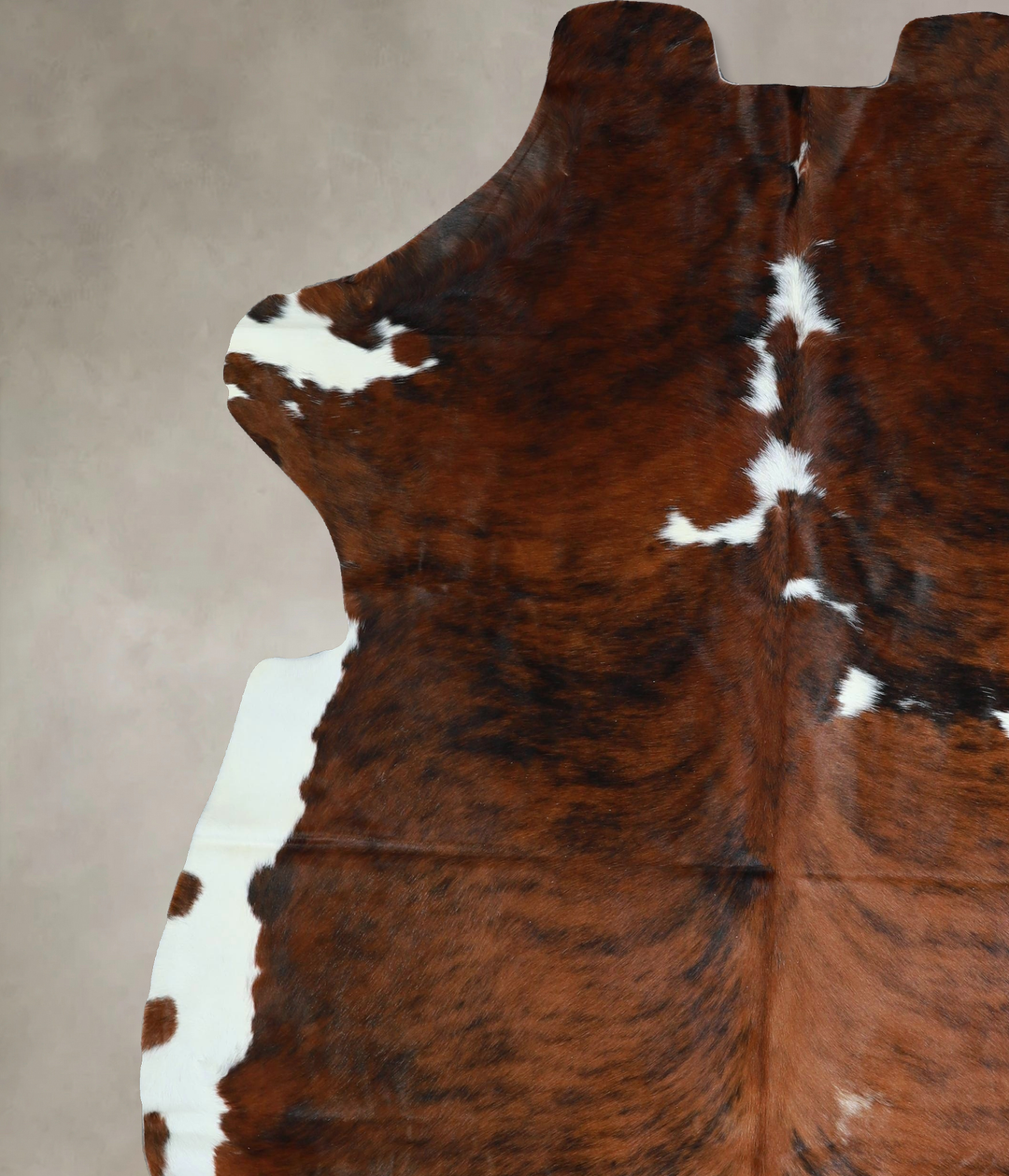 Tricolor X-Large European Cowhide Rug 7'5"H x 6'7"W #A41543 by Hudson 