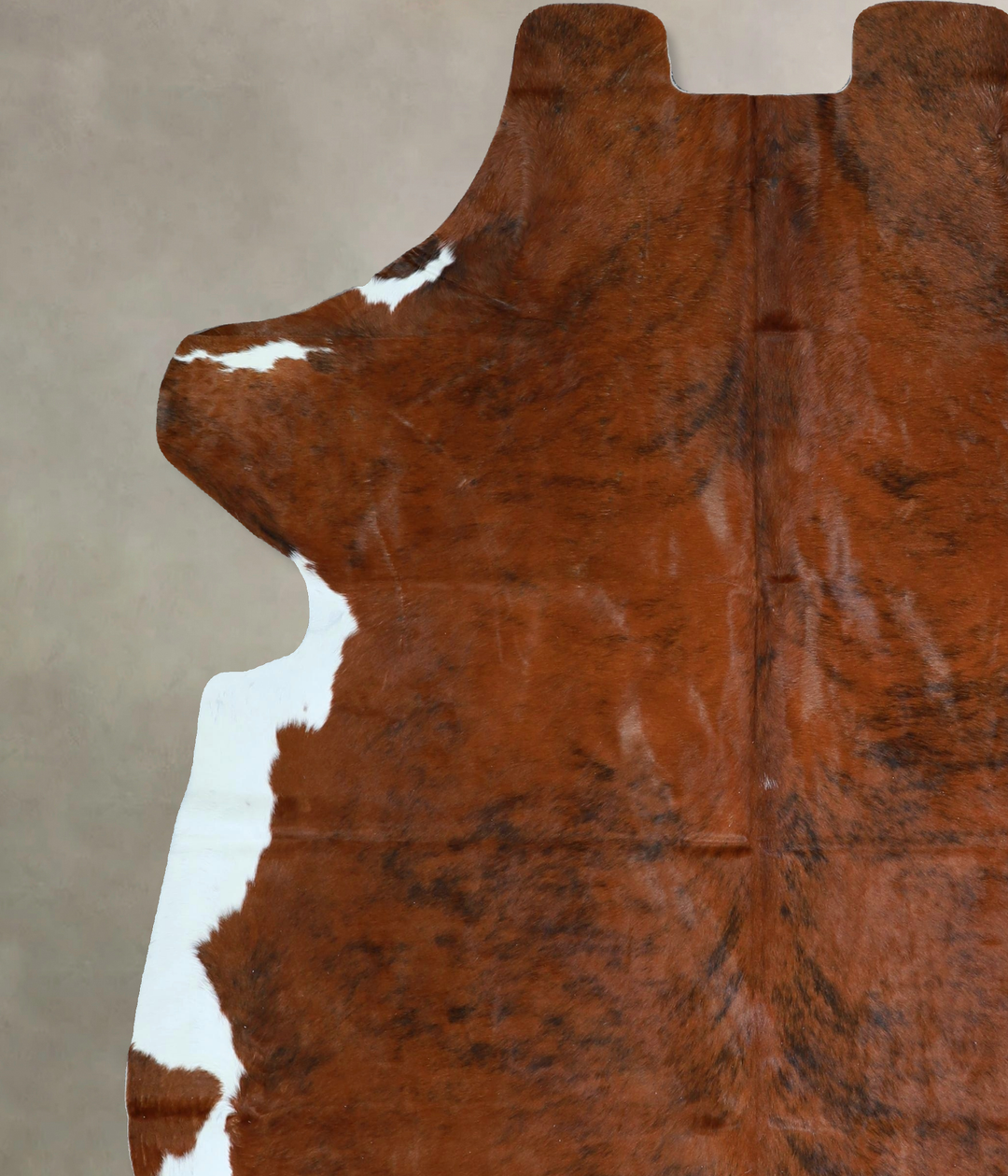 Tricolor X-Large European Cowhide Rug 7'5"H x 6'5"W #A41557 by Hudson 