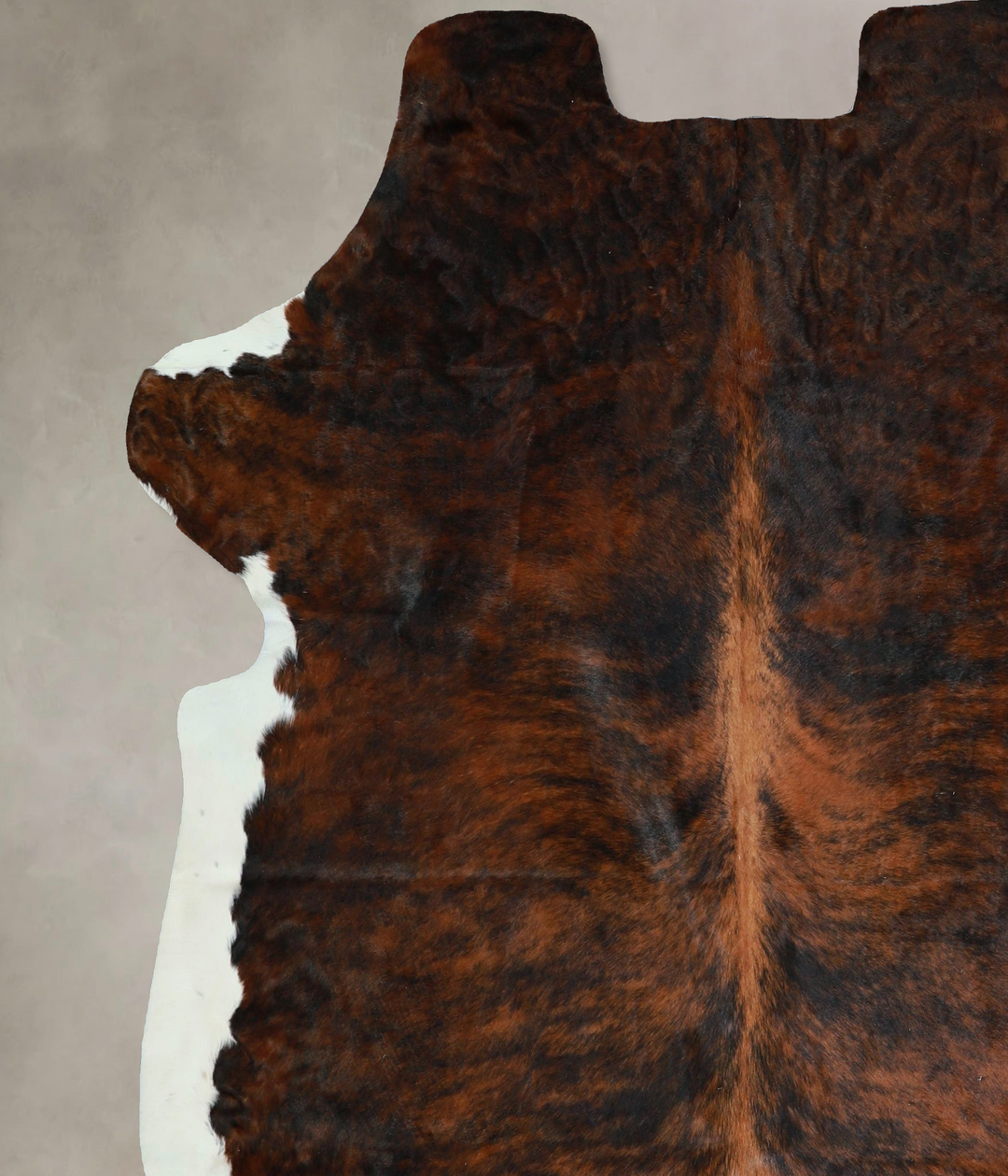 Tricolor X-Large European Cowhide Rug 7'3"H x 6'10"W #A41615 by Hudson