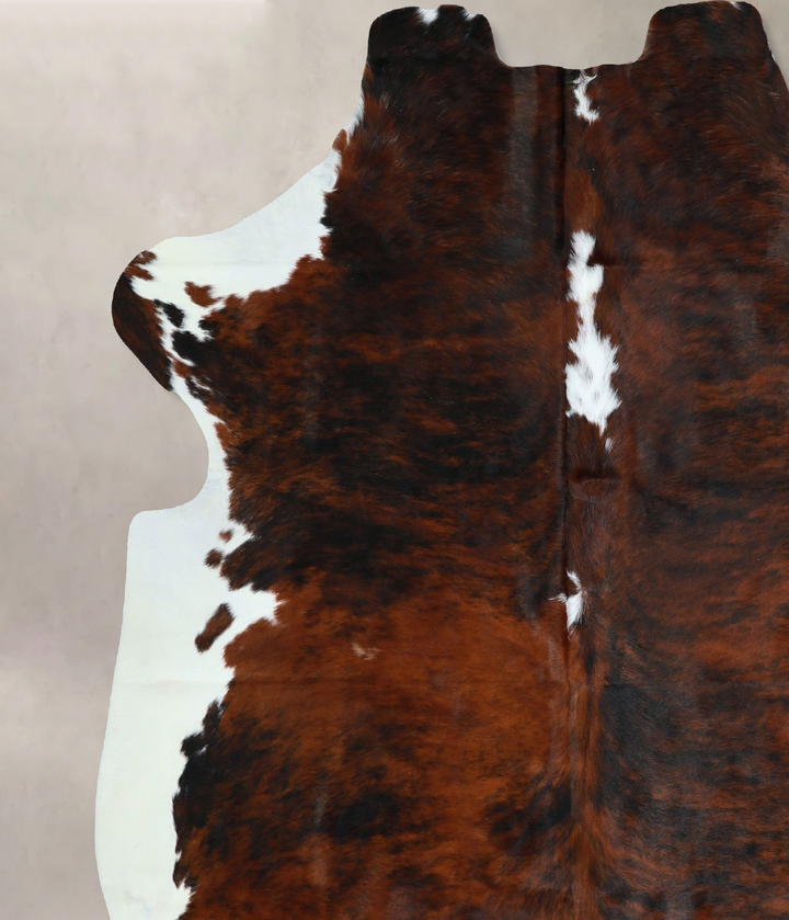 Tricolor X-Large European Cowhide Rug 7'2"H x 6'7"W #A41624 by Hudson Hides