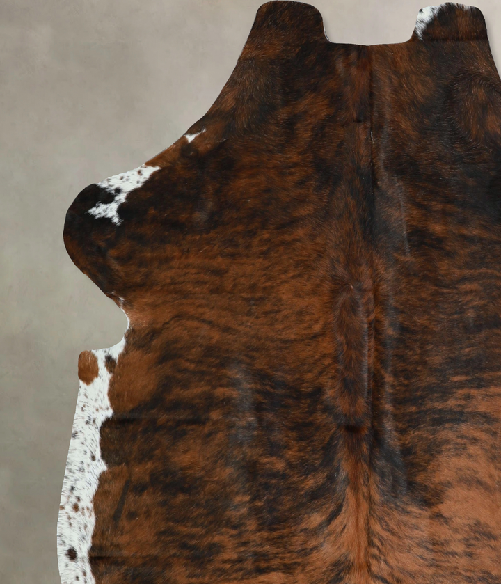 Tricolor X-Large European Cowhide Rug 7'0"H x 6'3"W #A41643 by Hudson Hides