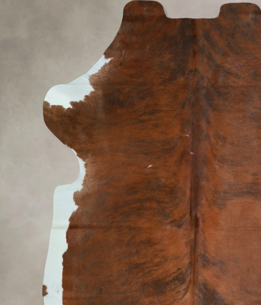 Tricolor X-Large European Cowhide Rug 7'3"H x 6'8"W #A41644 by Hudson 