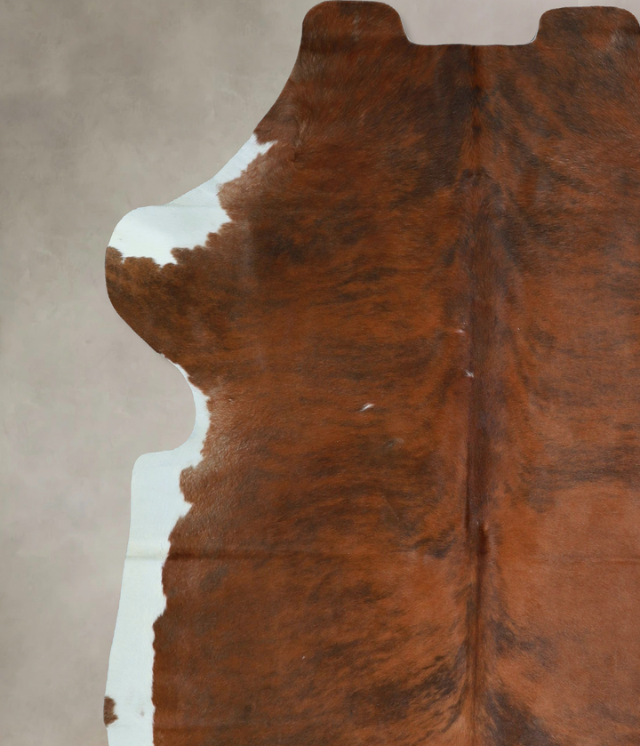 Tricolor X-Large European Cowhide Rug 7'3"H x 6'8"W #A41644 by Hudson Hides