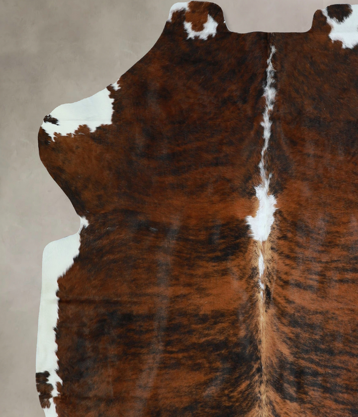 Tricolor X-Large European Cowhide Rug 7'1"H x 6'5"W #A41645 by Hudson Hides