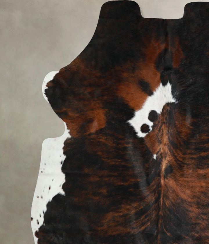 Tricolor X-Large European Cowhide Rug 6'11"H x 6'6"W #A41648 by Hudson Hides