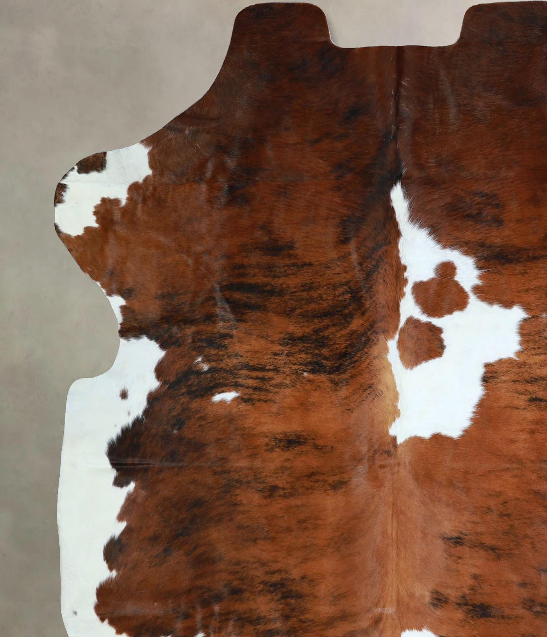 Tricolor X-Large European Cowhide Rug 7'3"H x 6'4"W #A41676 by Hudson 