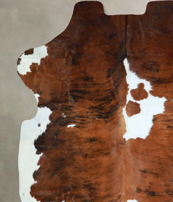 Tricolor X-Large European Cowhide Rug 7'3"H x 6'4"W #A41676 by Hudson Hides