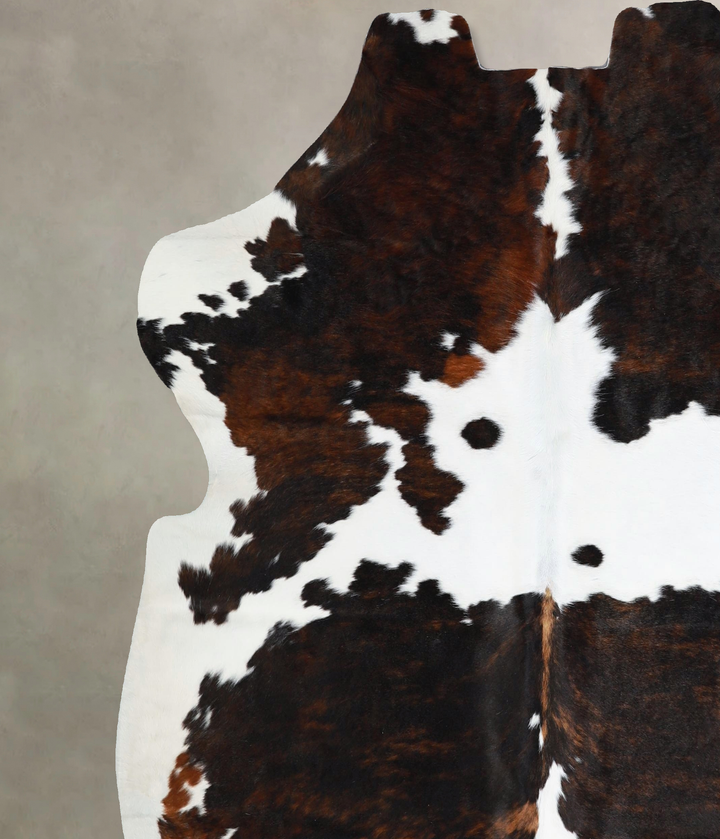 Tricolor X-Large European Cowhide Rug 6'5"H x 6'7"W #A41679 by Hudson Hides