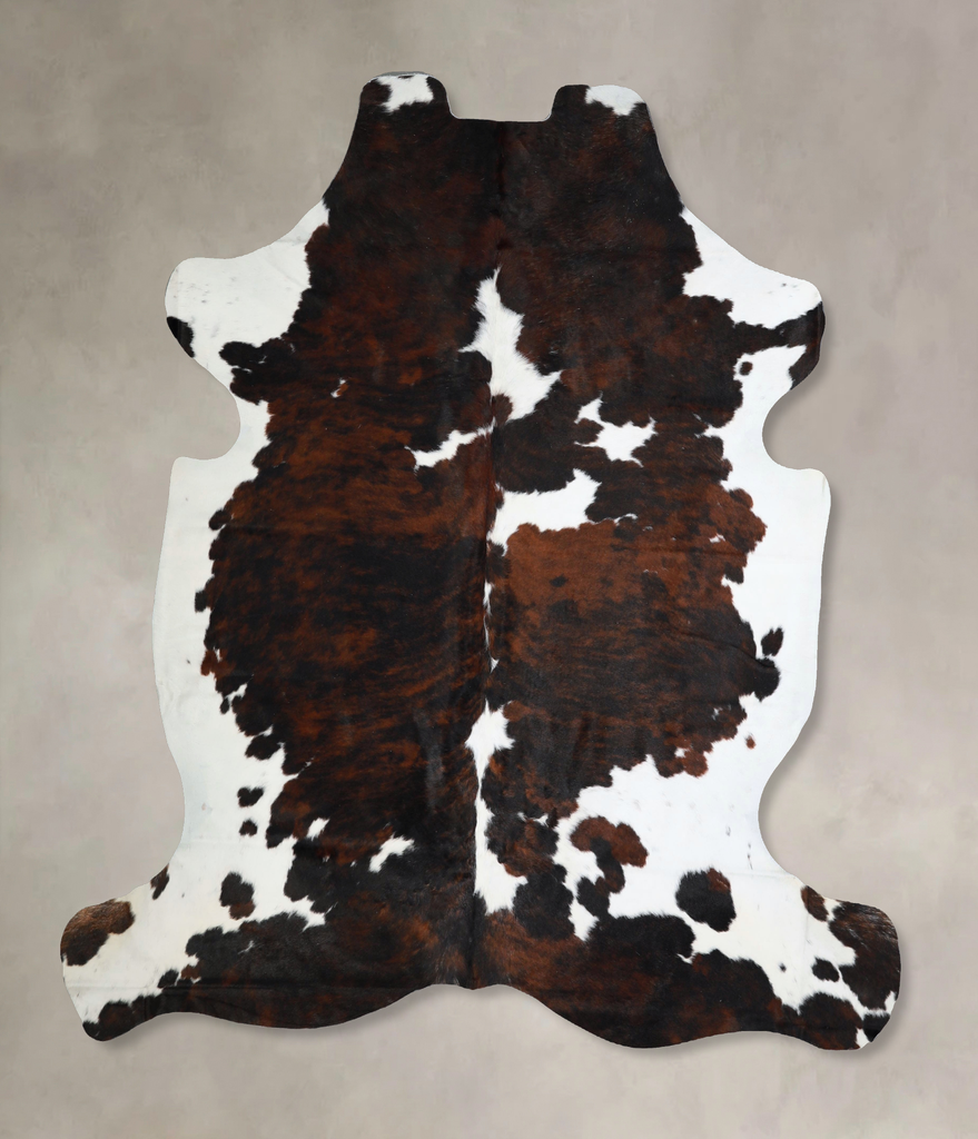 Tricolor X-Large European Cowhide Rug 6'11"H x 6'7"W #A41688 by Hudson Hides