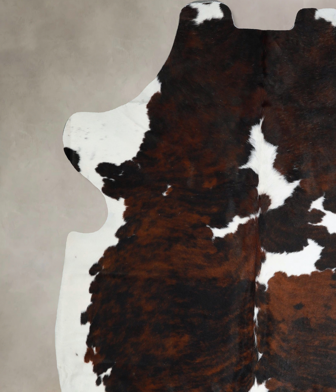 Tricolor X-Large European Cowhide Rug 6'11"H x 6'7"W #A41688 by Hudson