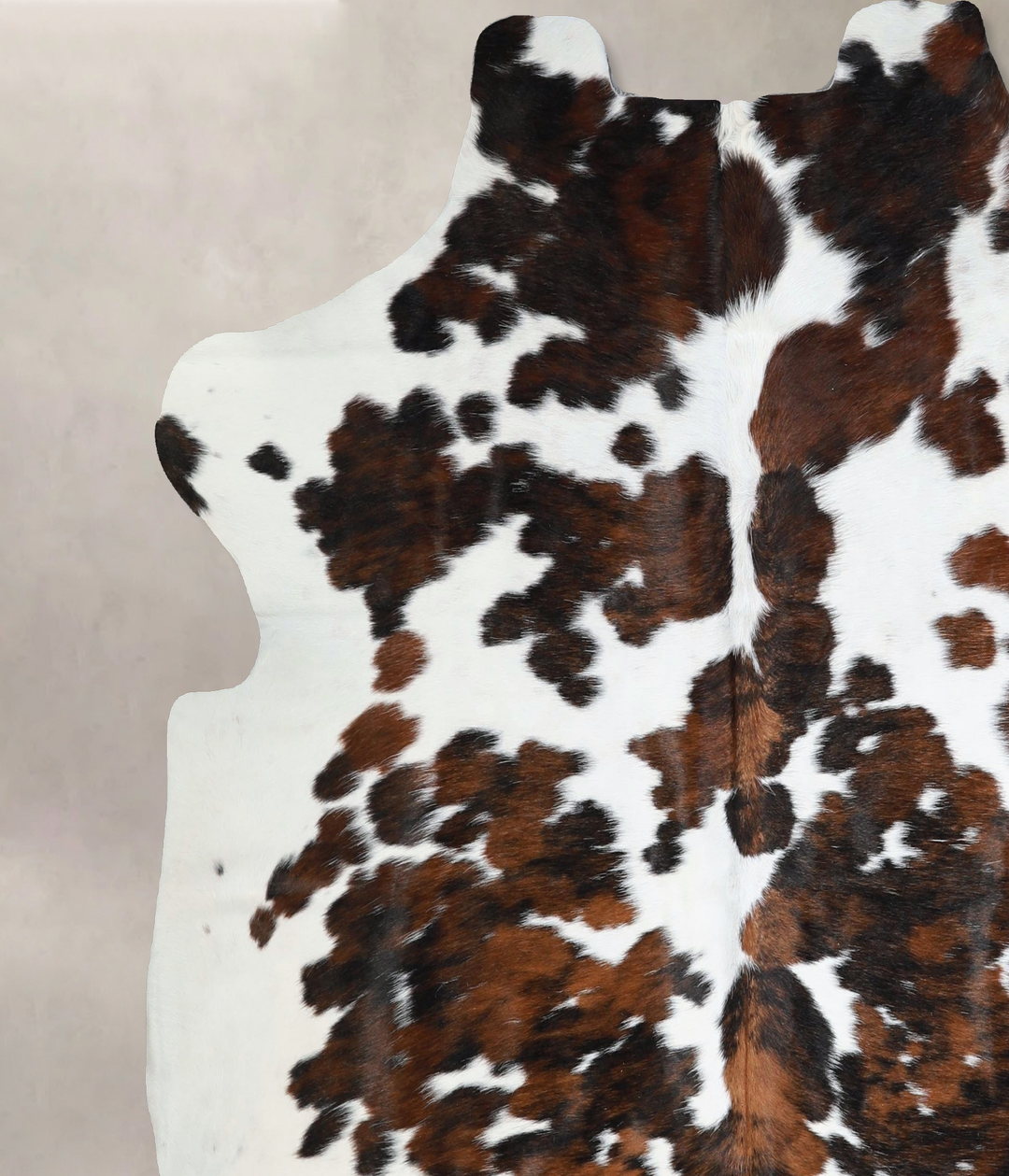 Tricolor X-Large European Cowhide Rug 6'5"H x 6'6"W #A41691 by Hudson 
