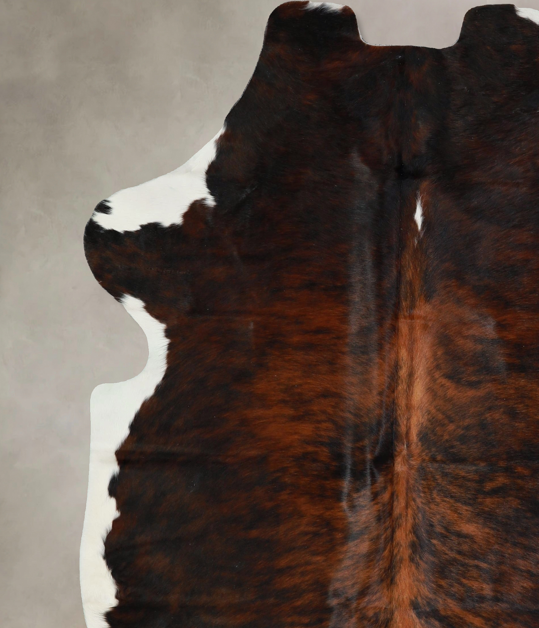 Tricolor X-Large European Cowhide Rug 7'0"H x 5'10"W #A41713 by Hudson