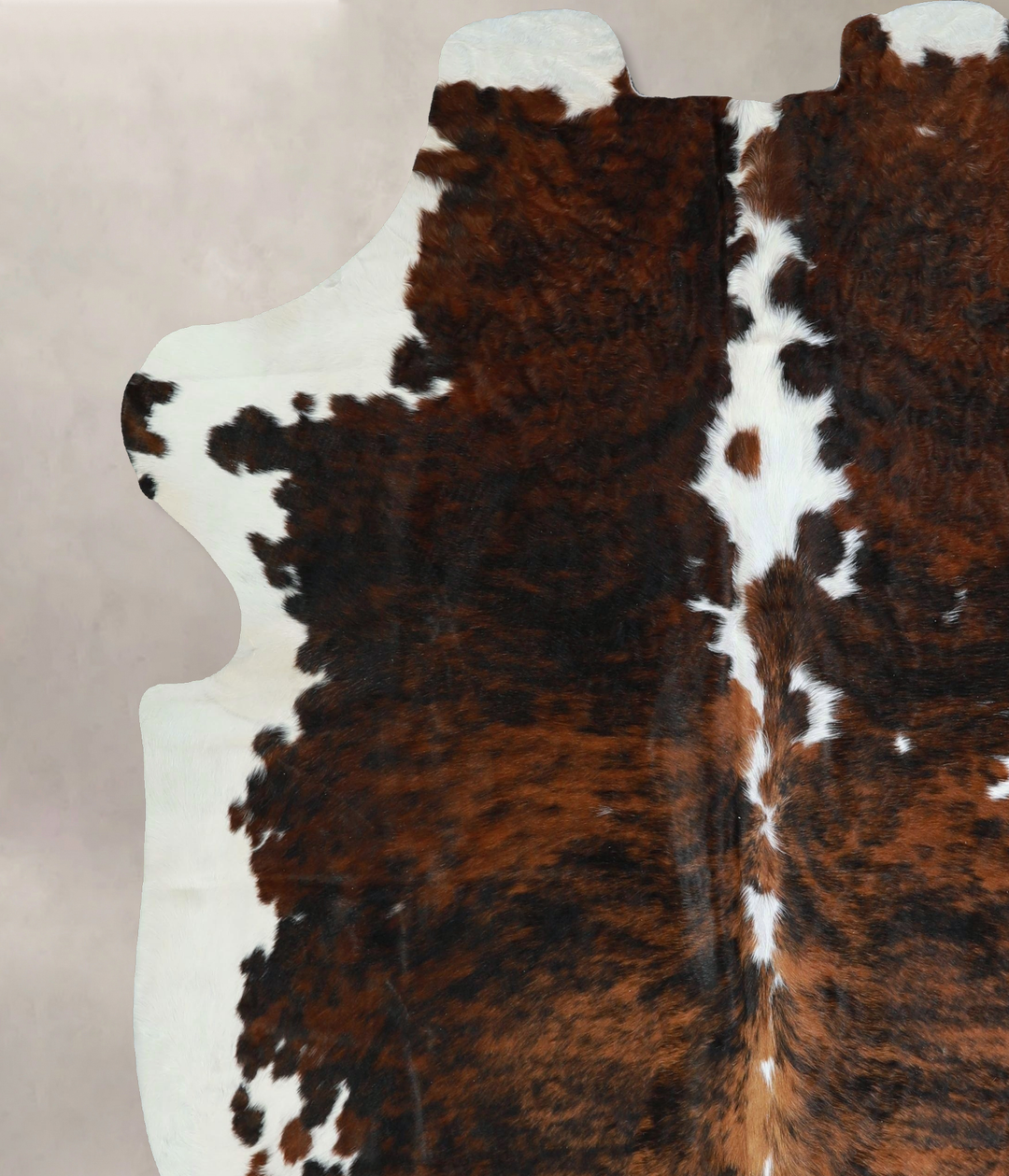 Tricolor X-Large European Cowhide Rug 7'4"H x 6'9"W #A41716 by Hudson 
