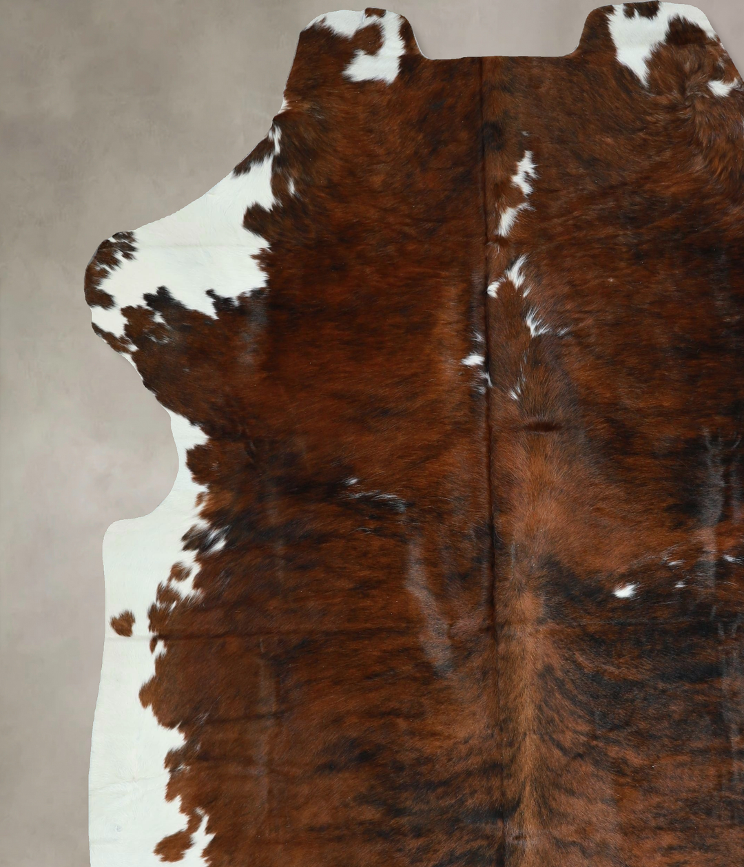 Tricolor X-Large European Cowhide Rug 7'5"H x 6'7"W #A41741 by Hudson 