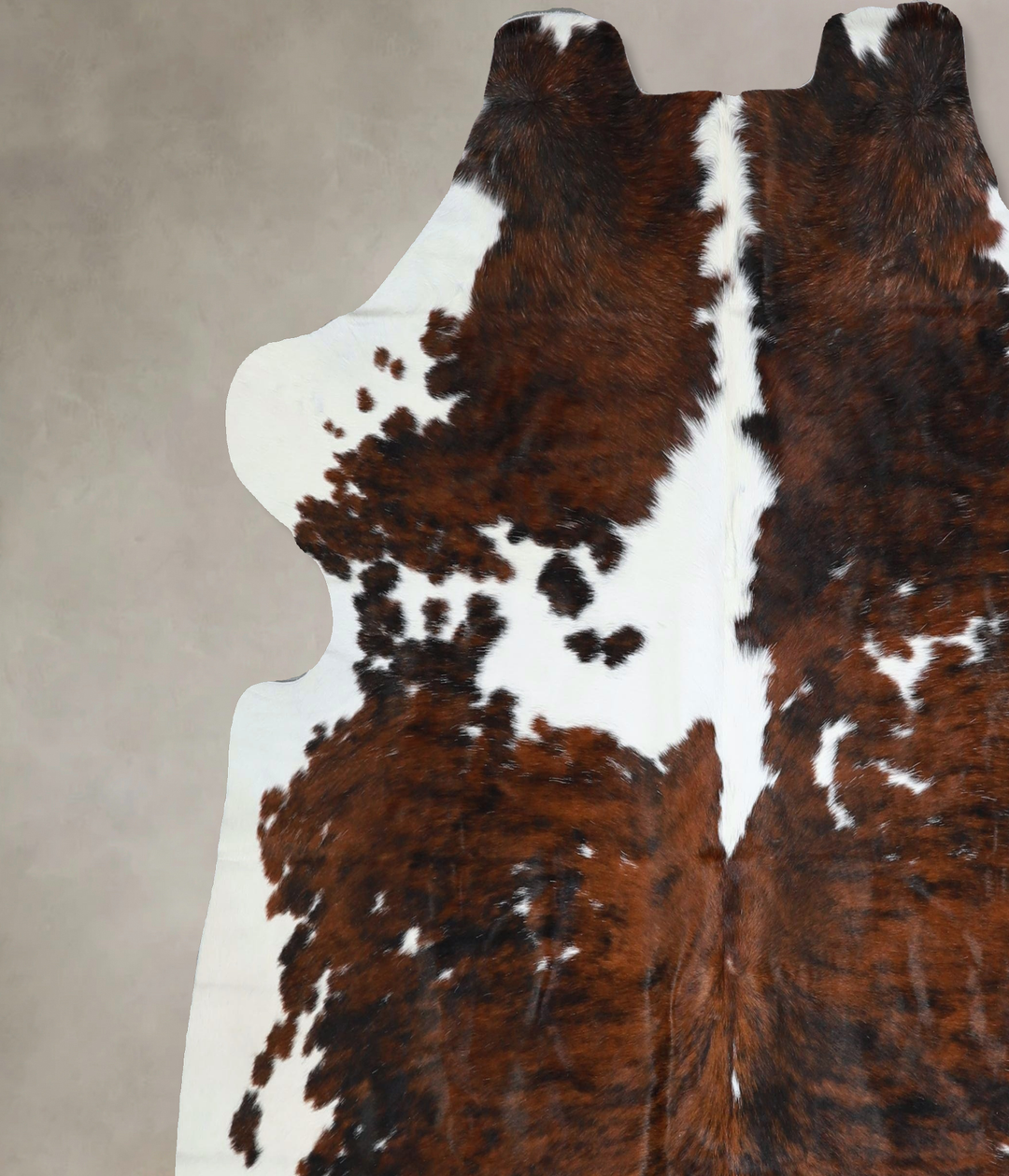 Tricolor X-Large European Cowhide Rug 6'3"H x 6'5"W #A41751 by Hudson 