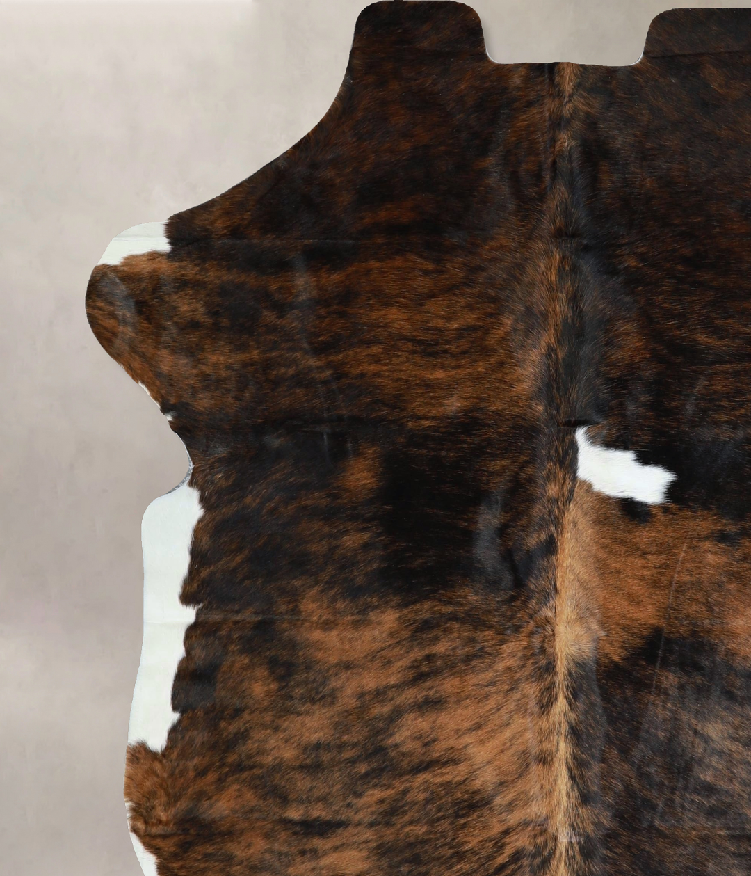 Tricolor X-Large European Cowhide Rug 7'0"H x 6'1"W #A41759 by Hudson 