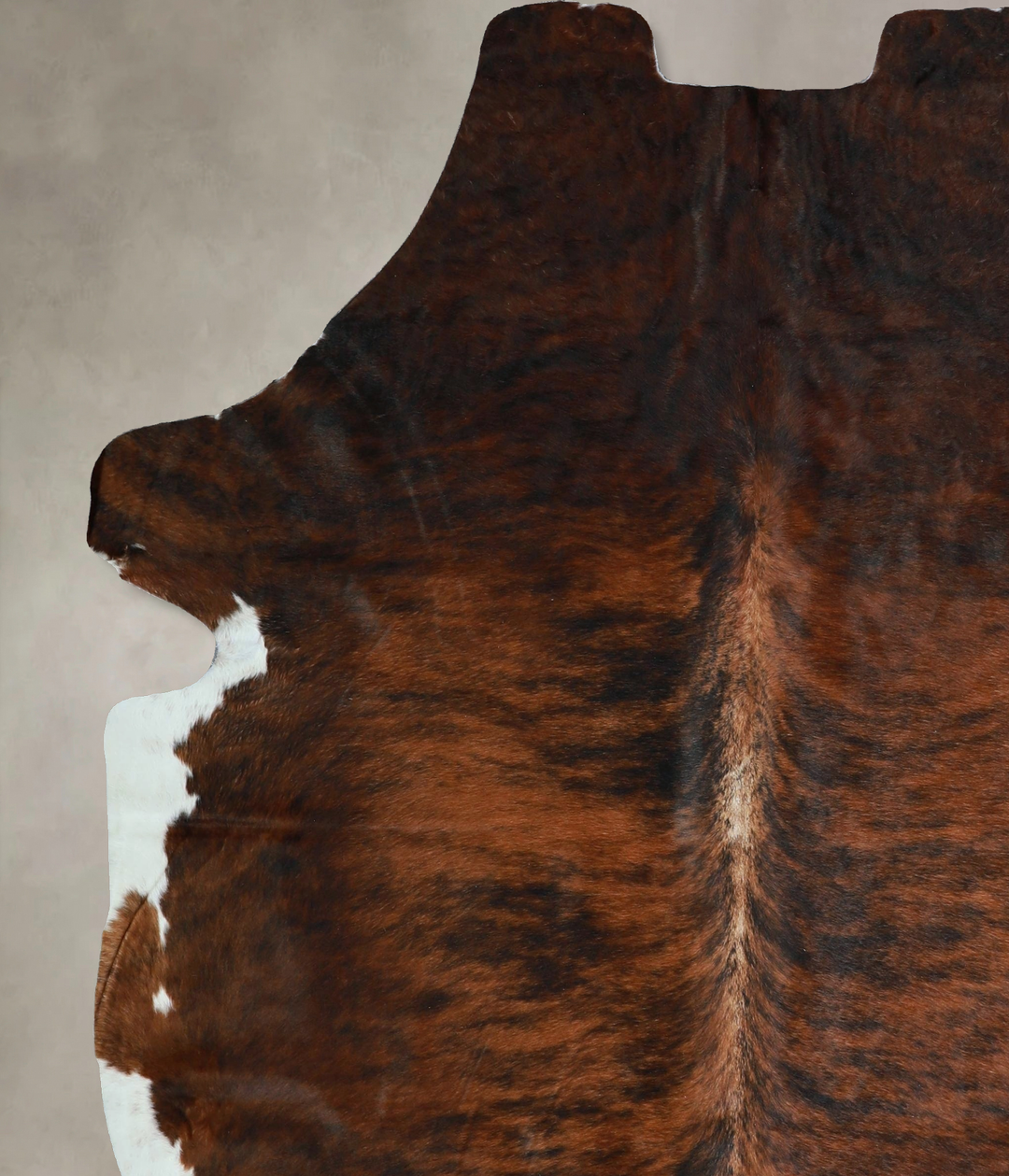 Tricolor X-Large European Cowhide Rug 7'4"H x 6'4"W #A41762 by Hudson 