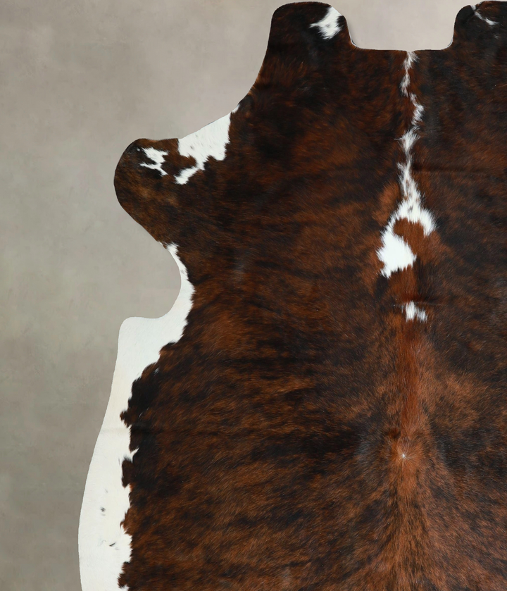 Tricolor X-Large European Cowhide Rug 7'2"H x 6'3"W #A41767 by Hudson Hides