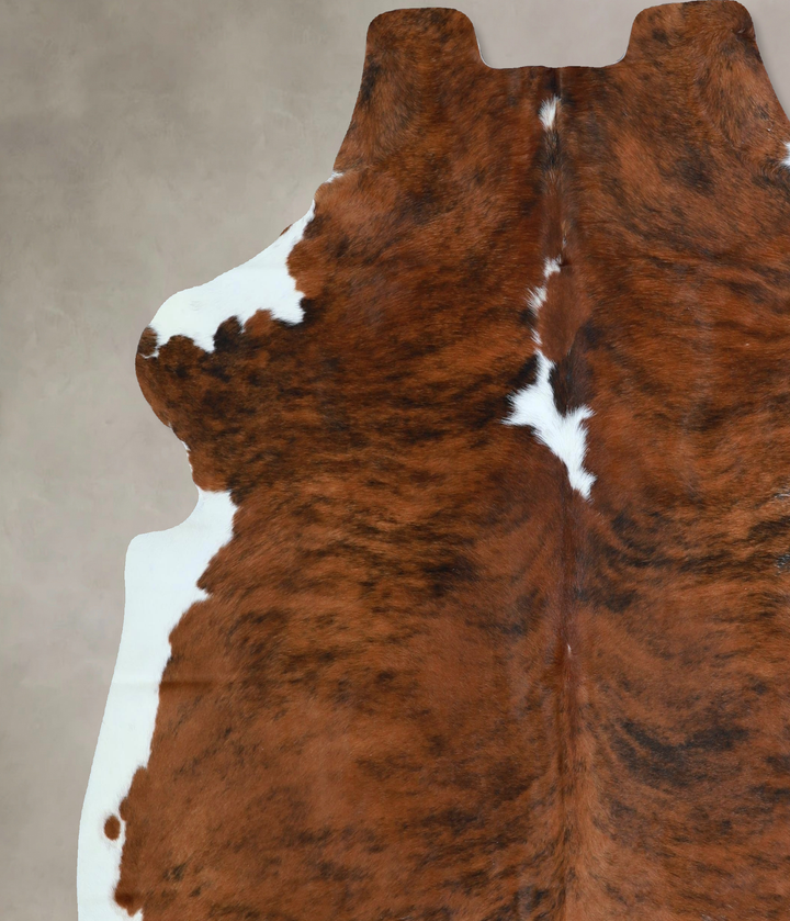 Tricolor X-Large European Cowhide Rug 6'11"H x 6'6"W #A41768 by Hudson Hides