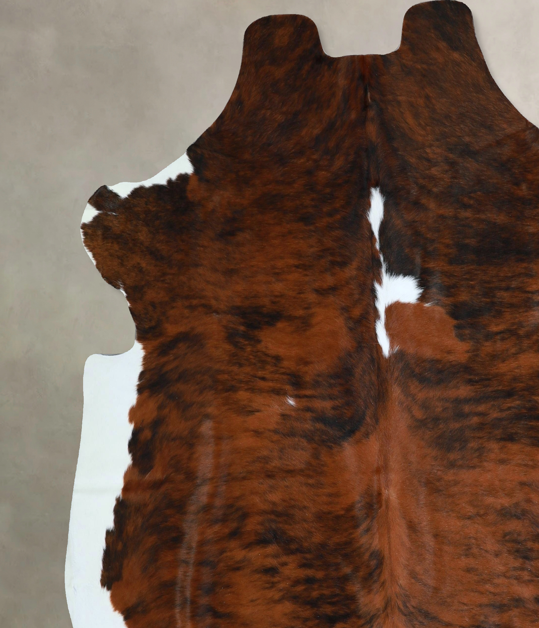 Tricolor X-Large European Cowhide Rug 6'11"H x 6'9"W #A41770 by Hudson