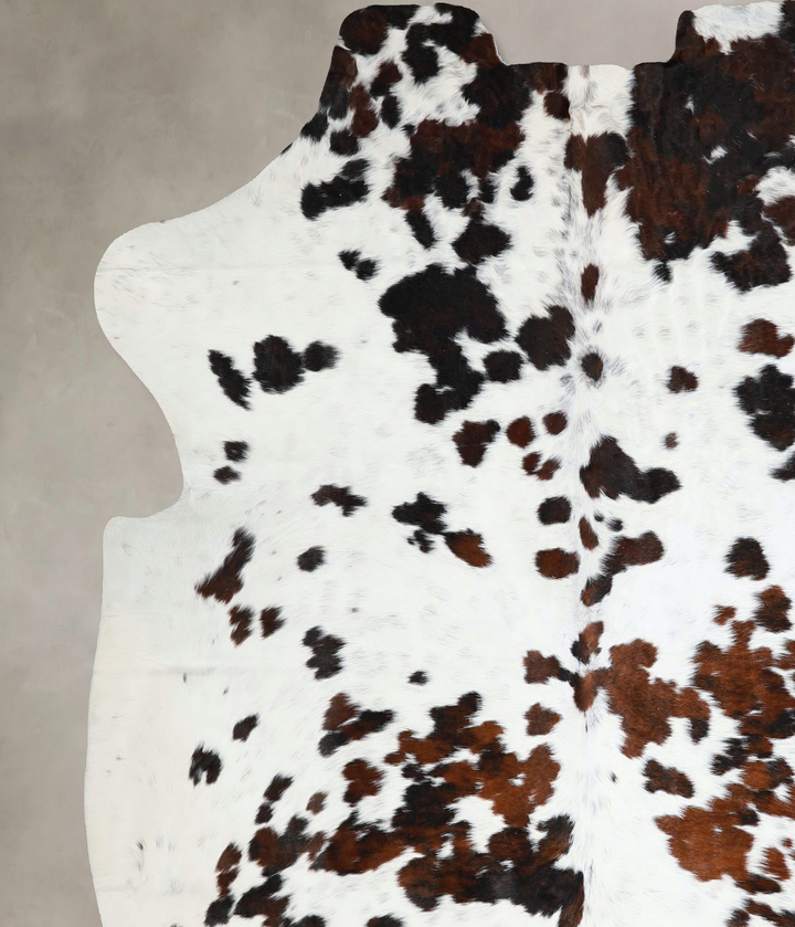 Tricolor X-Large European Cowhide Rug 7'3"H x 6'8"W #A41784 by Hudson Hides
