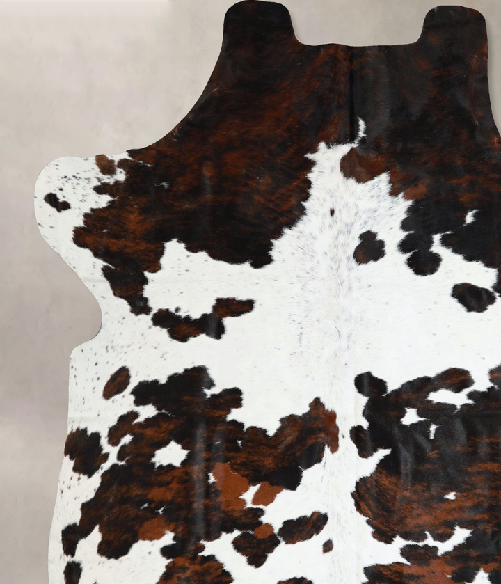 Tricolor X-Large European Cowhide Rug 6'9"H x 6'1"W #A41794 by Hudson Hides