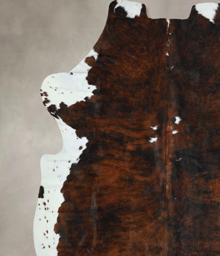 Tricolor X-Large European Cowhide Rug 6'11"H x 6'7"W #A41796 by Hudson Hides