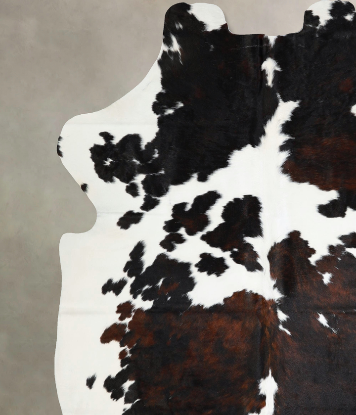 Tricolor X-Large European Cowhide Rug 6'11"H x 6'2"W #A41808 by Hudson Hides