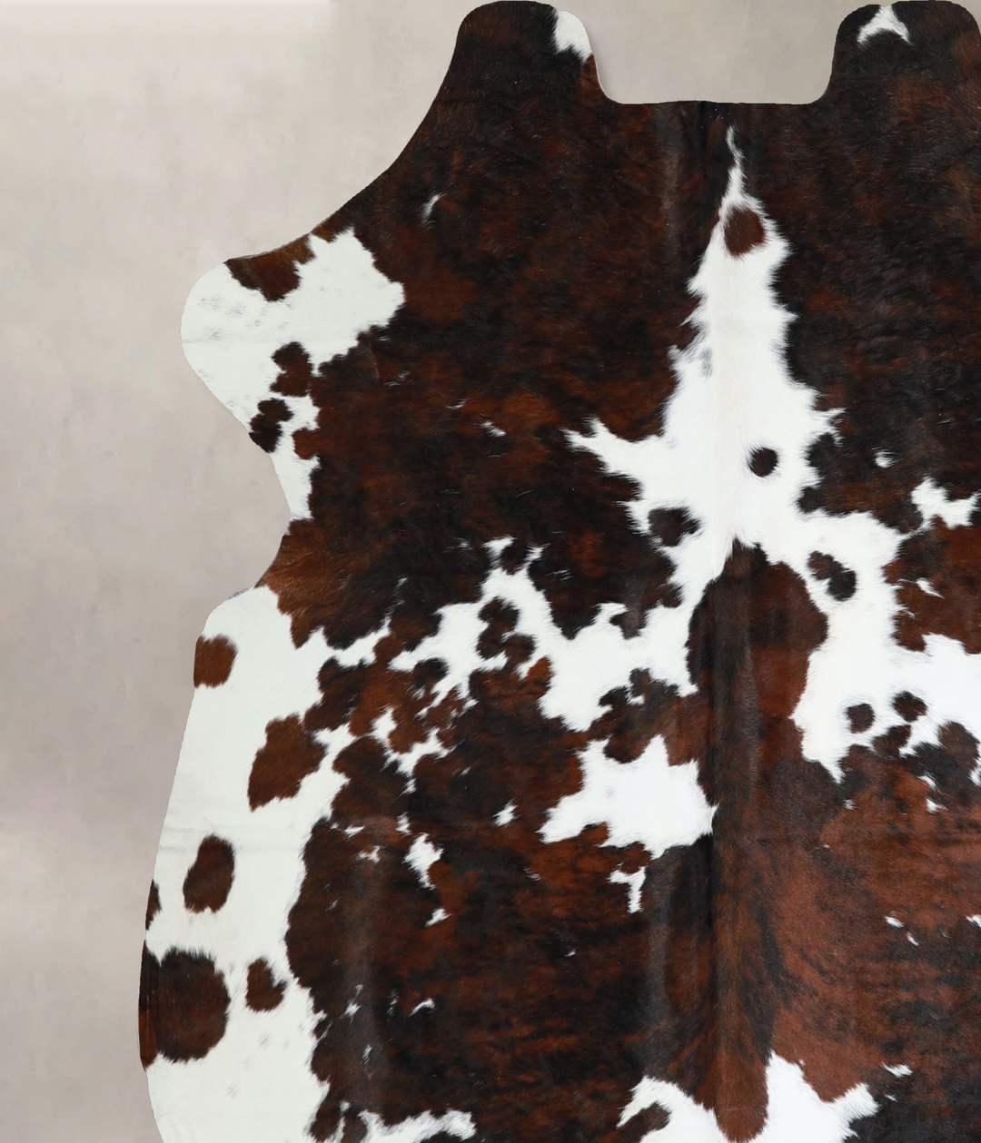 Tricolor X-Large European Cowhide Rug 6'9"H x 6'8"W #A41809 by Hudson 