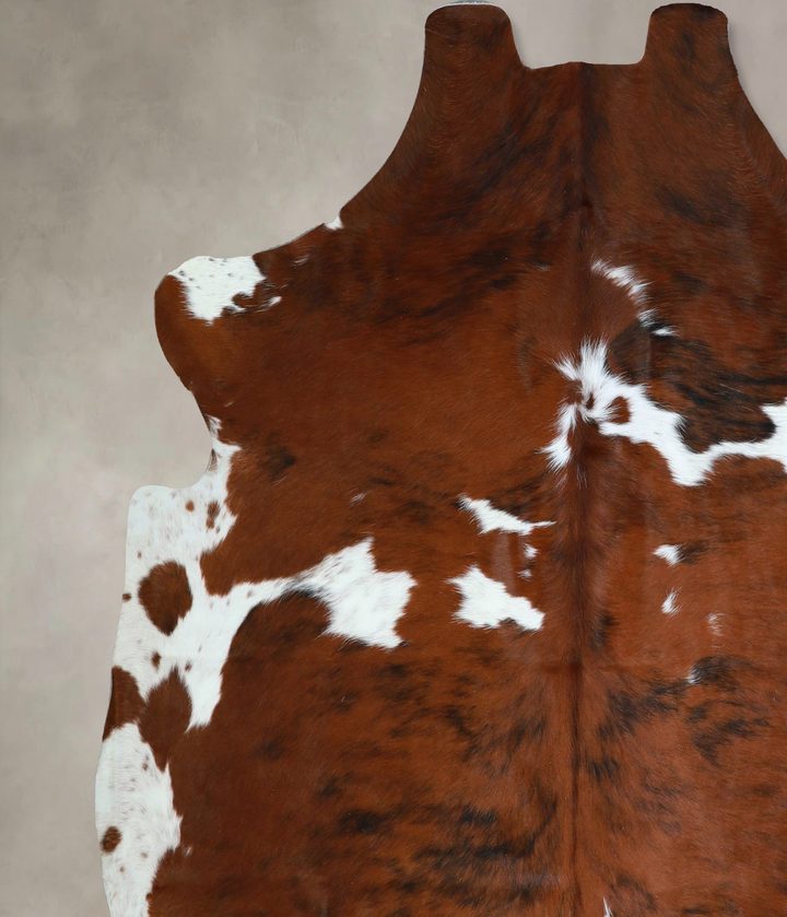 Tricolor X-Large European Cowhide Rug 6'8"H x 6'5"W #A41810 by Hudson Hides