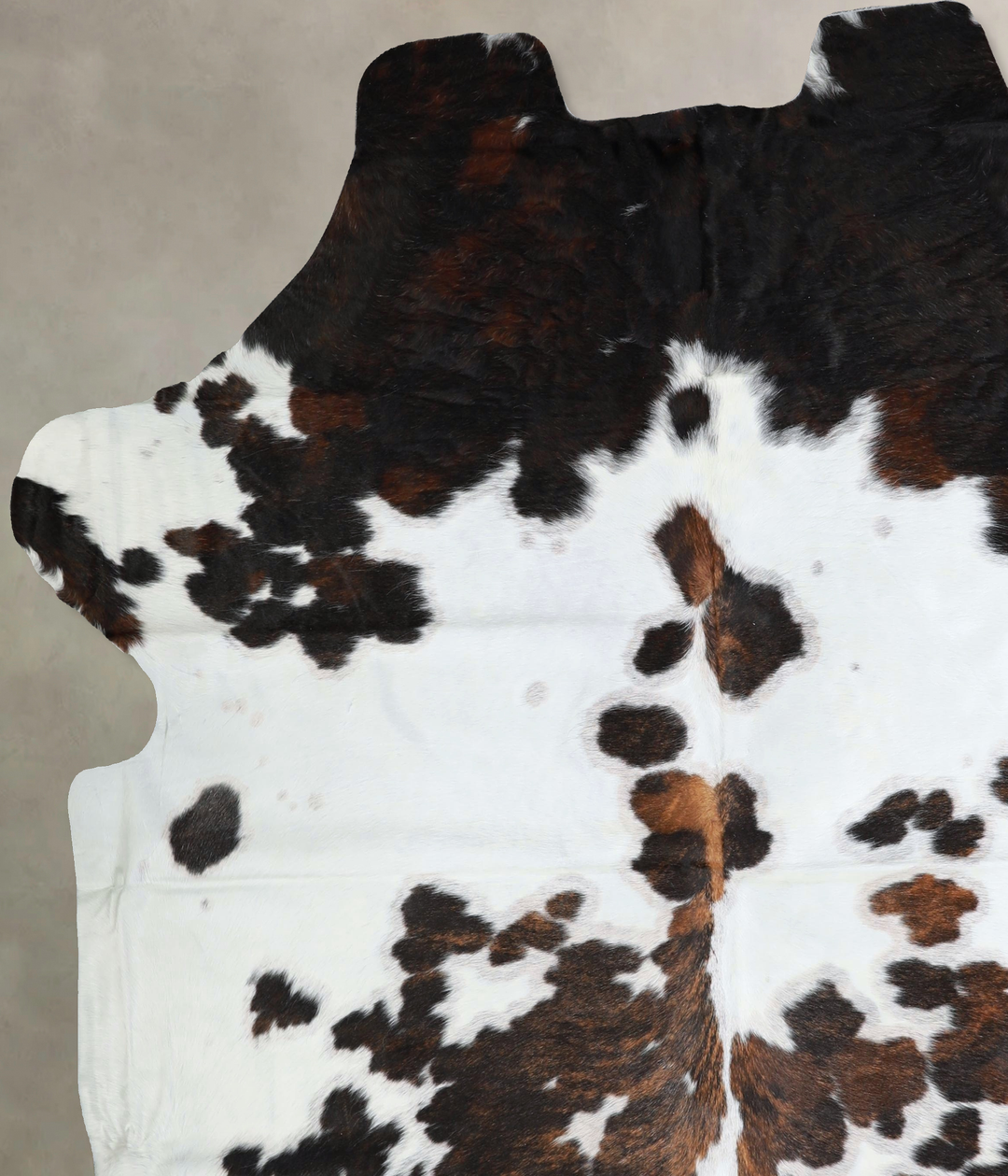 Tricolor XX-Large European Cowhide Rug 7'11"H x 7'2"W #A41819 by Hudso