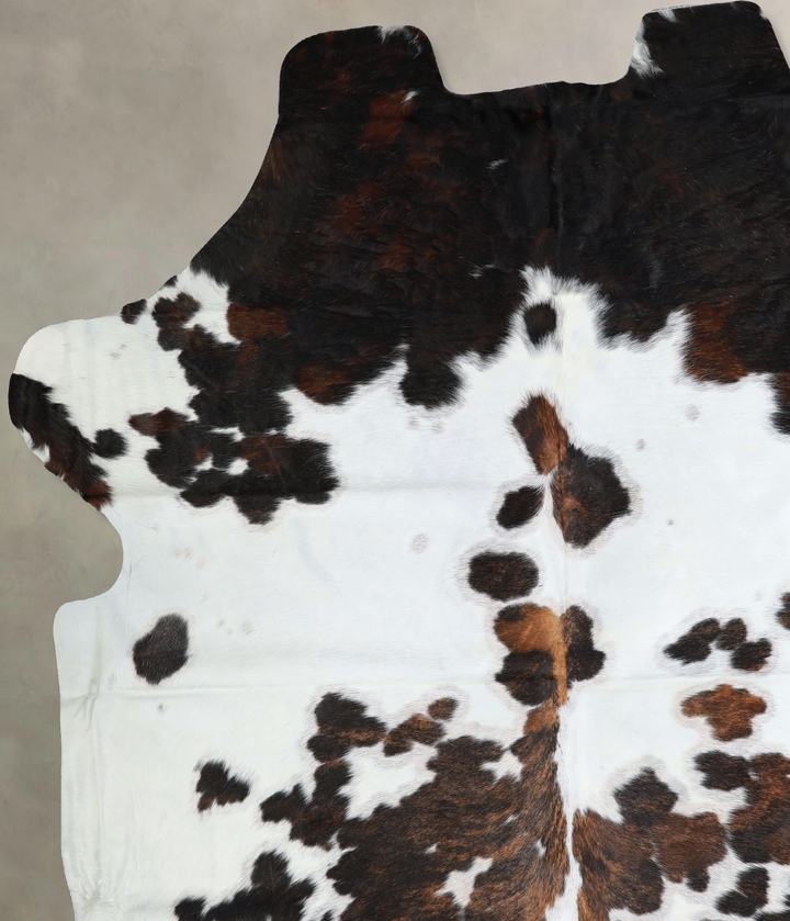 Tricolor XX-Large European Cowhide Rug 7'11"H x 7'2"W #A41819 by Hudson Hides