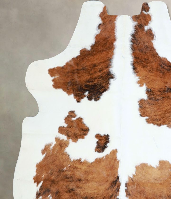 Tricolor Large European Cowhide Rug 6'2"H x 5'10"W #A41821 by Hudson Hides