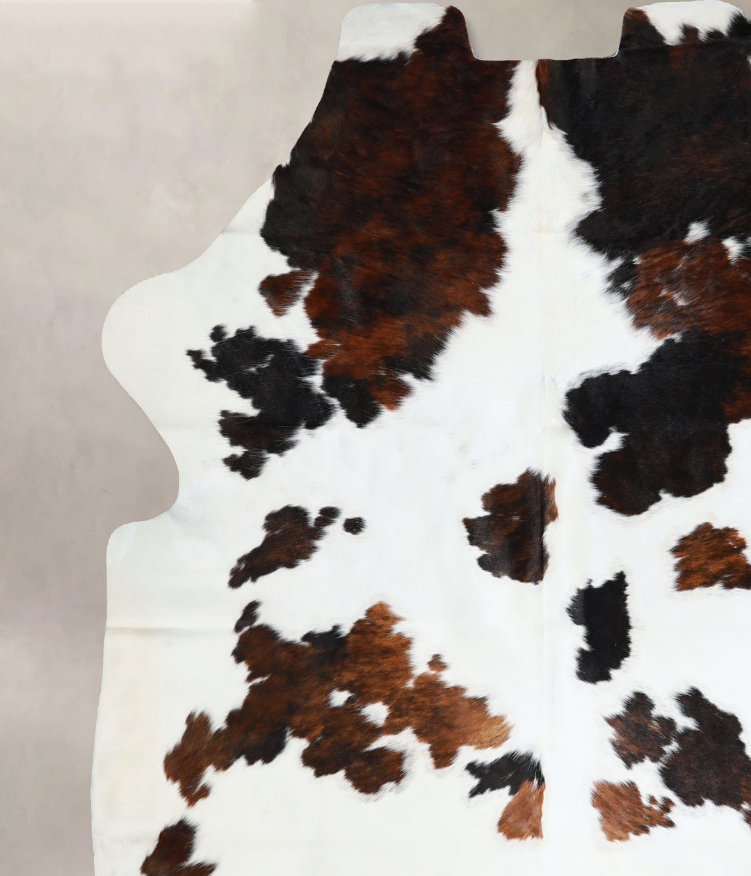 Tricolor X-Large European Cowhide Rug 7'4"H x 6'8"W #A41829 by Hudson 