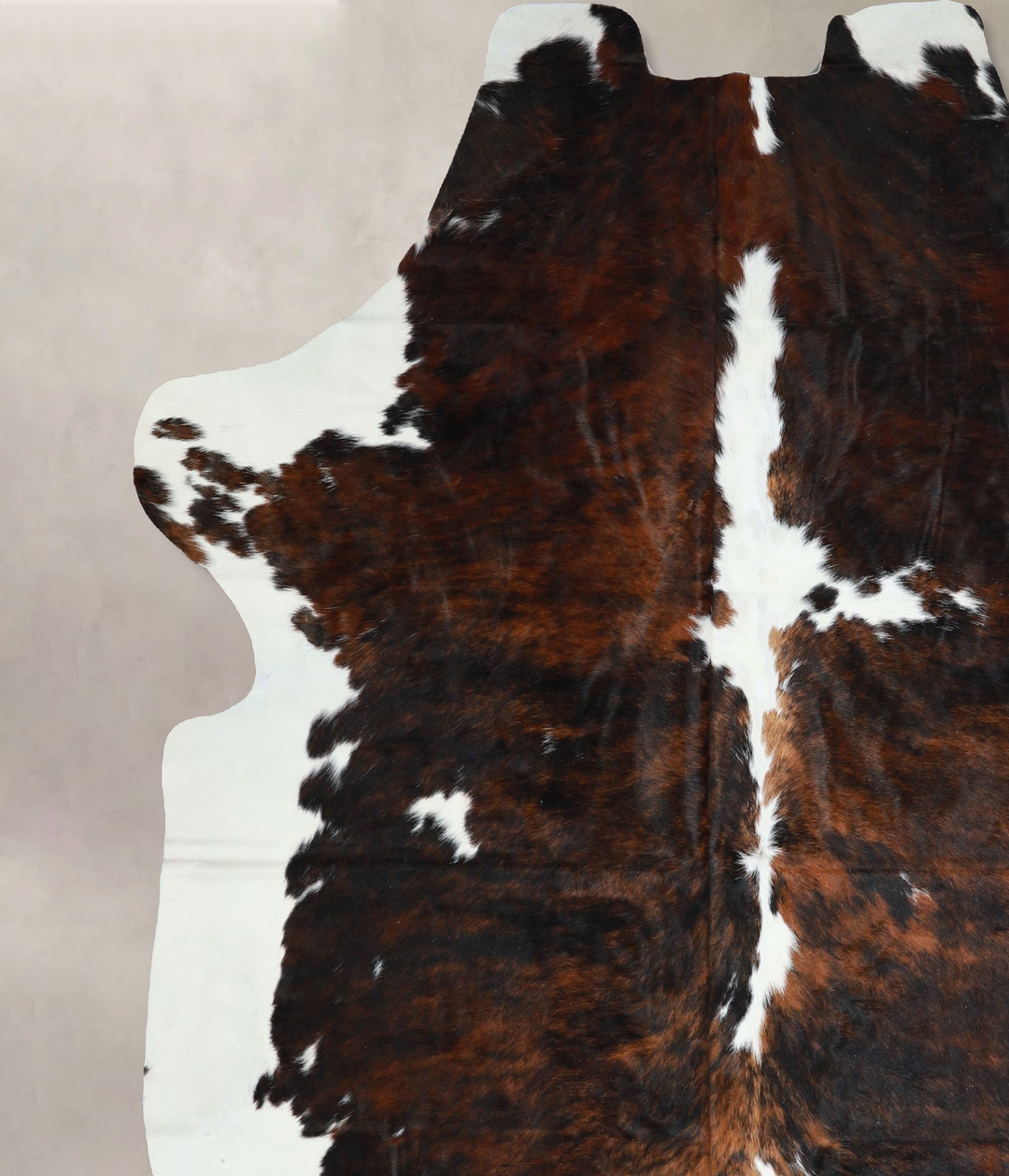 Tricolor X-Large European Cowhide Rug 7'4"H x 6'9"W #A41830 by Hudson 