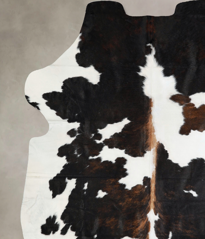 Tricolor XX-Large European Cowhide Rug 7'4"H x 6'11"W #A41831 by Hudson Hides