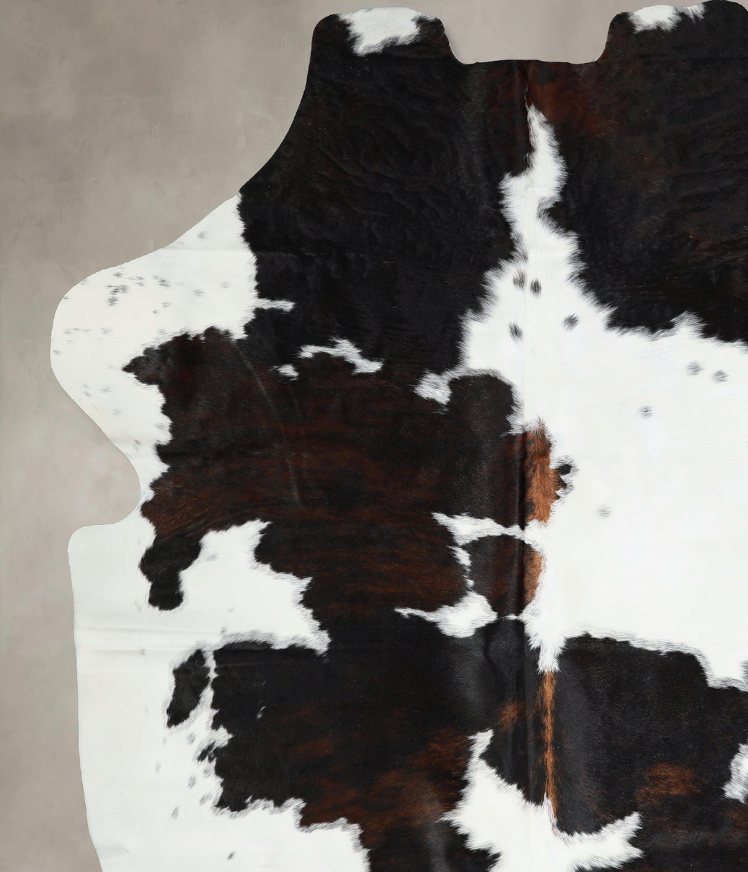 Tricolor X-Large European Cowhide Rug 7'5"H x 6'4"W #A41833 by Hudson 