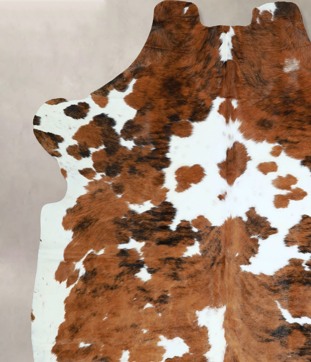 Tricolor X-Large European Cowhide Rug 7'4"H x 6'7"W #A41834 by Hudson 