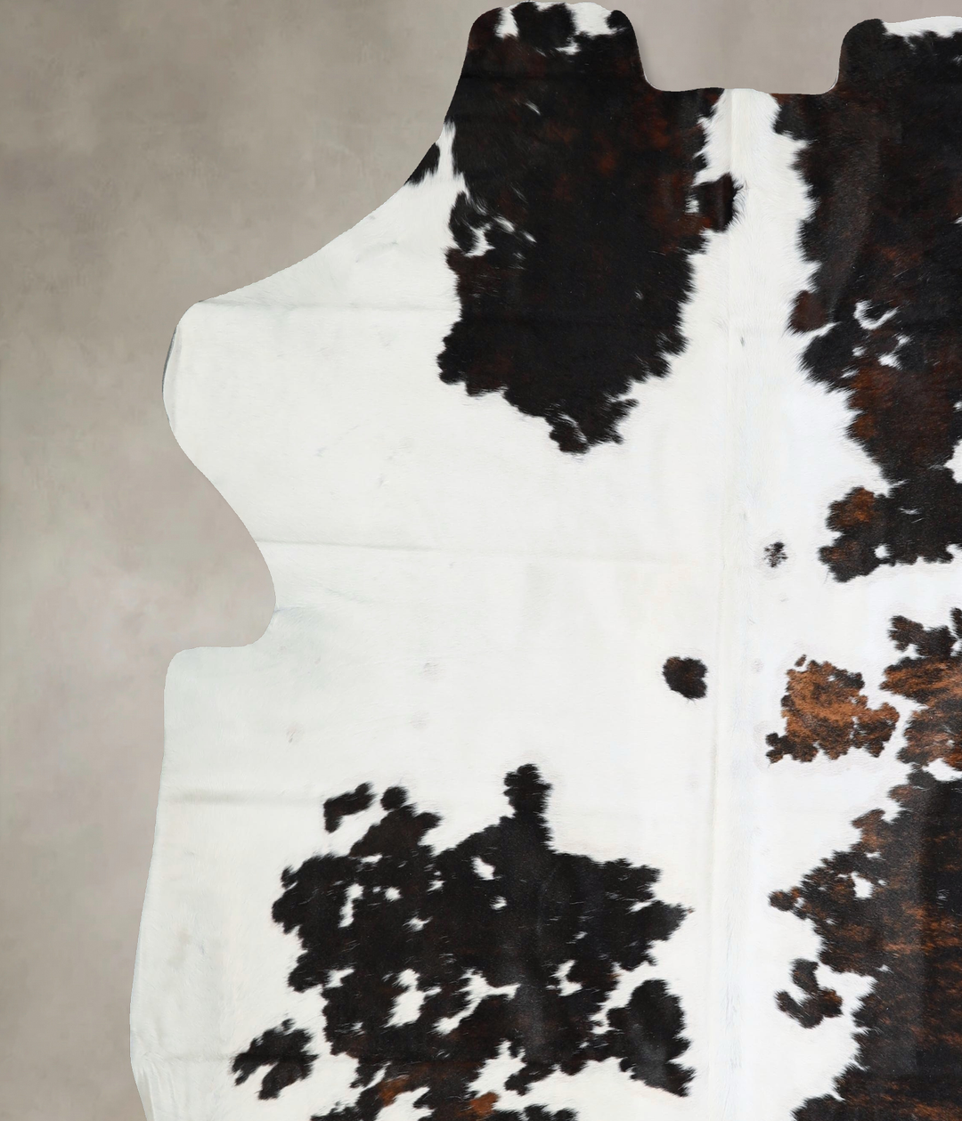 Tricolor XX-Large European Cowhide Rug 7'8"H x 7'0"W #A41839 by Hudson