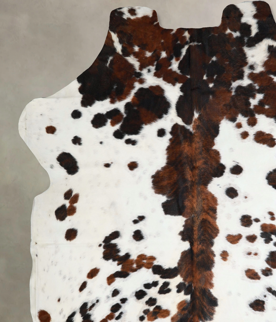 Tricolor XX-Large European Cowhide Rug 7'7"H x 7'2"W #A41840 by Hudson