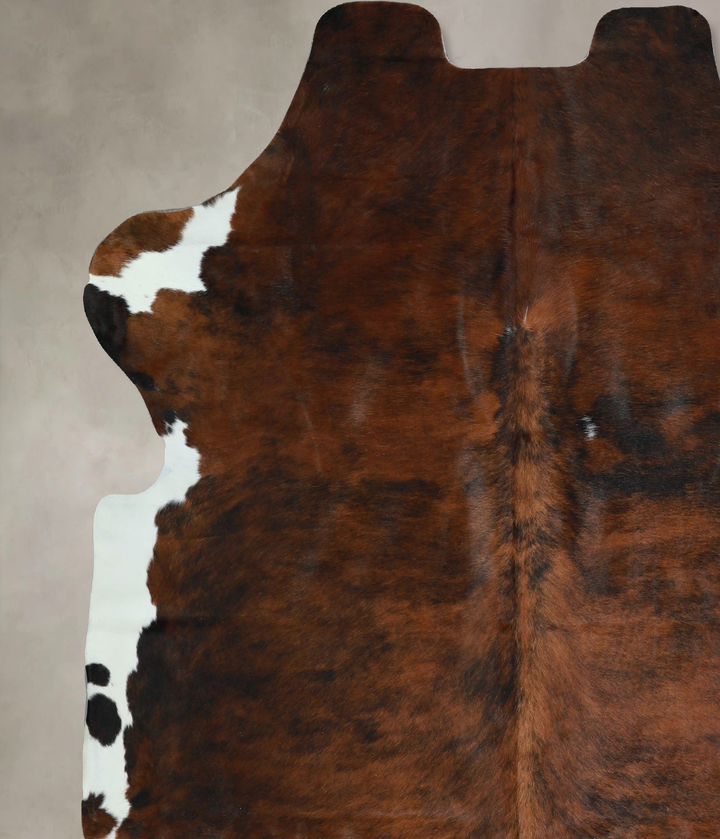 Tricolor X-Large European Cowhide Rug 6'10"H x 6'7"W #A41850 by Hudson Hides