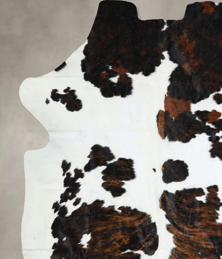 Tricolor XX-Large European Cowhide Rug 7'7"H x 7'0"W #A41856 by Hudson Hides