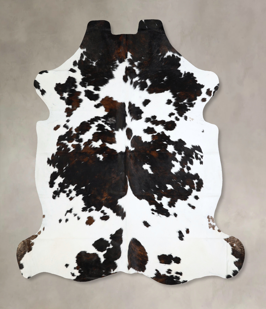Tricolor XX-Large European Cowhide Rug 7'3"H x 7'2"W #A41859 by Hudson Hides