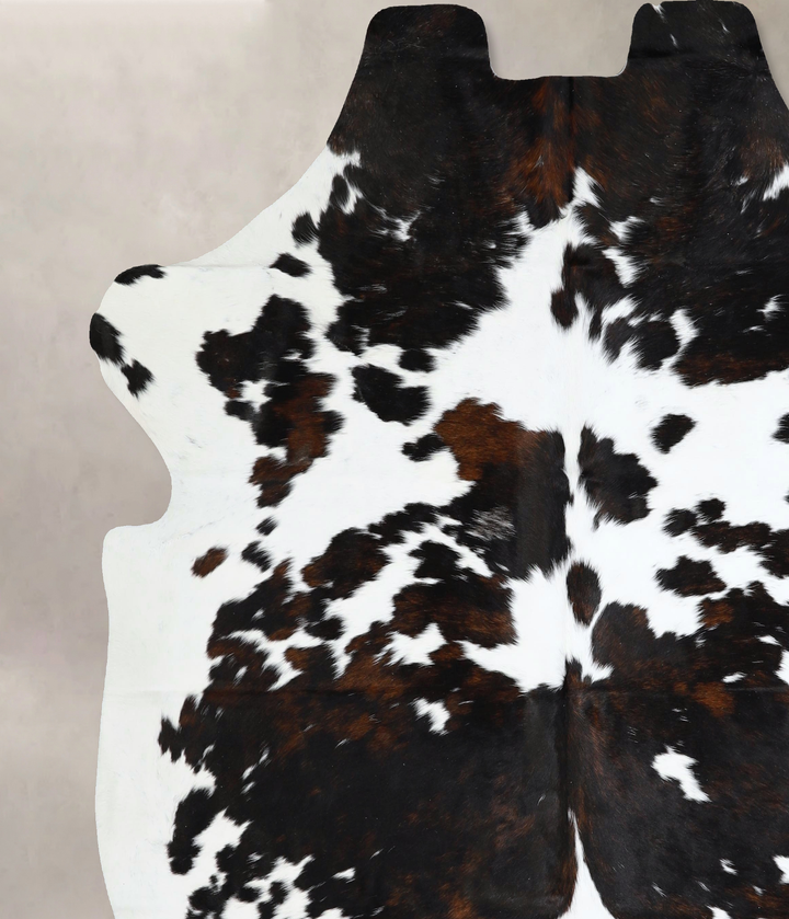 Tricolor XX-Large European Cowhide Rug 7'3"H x 7'2"W #A41859 by Hudson Hides