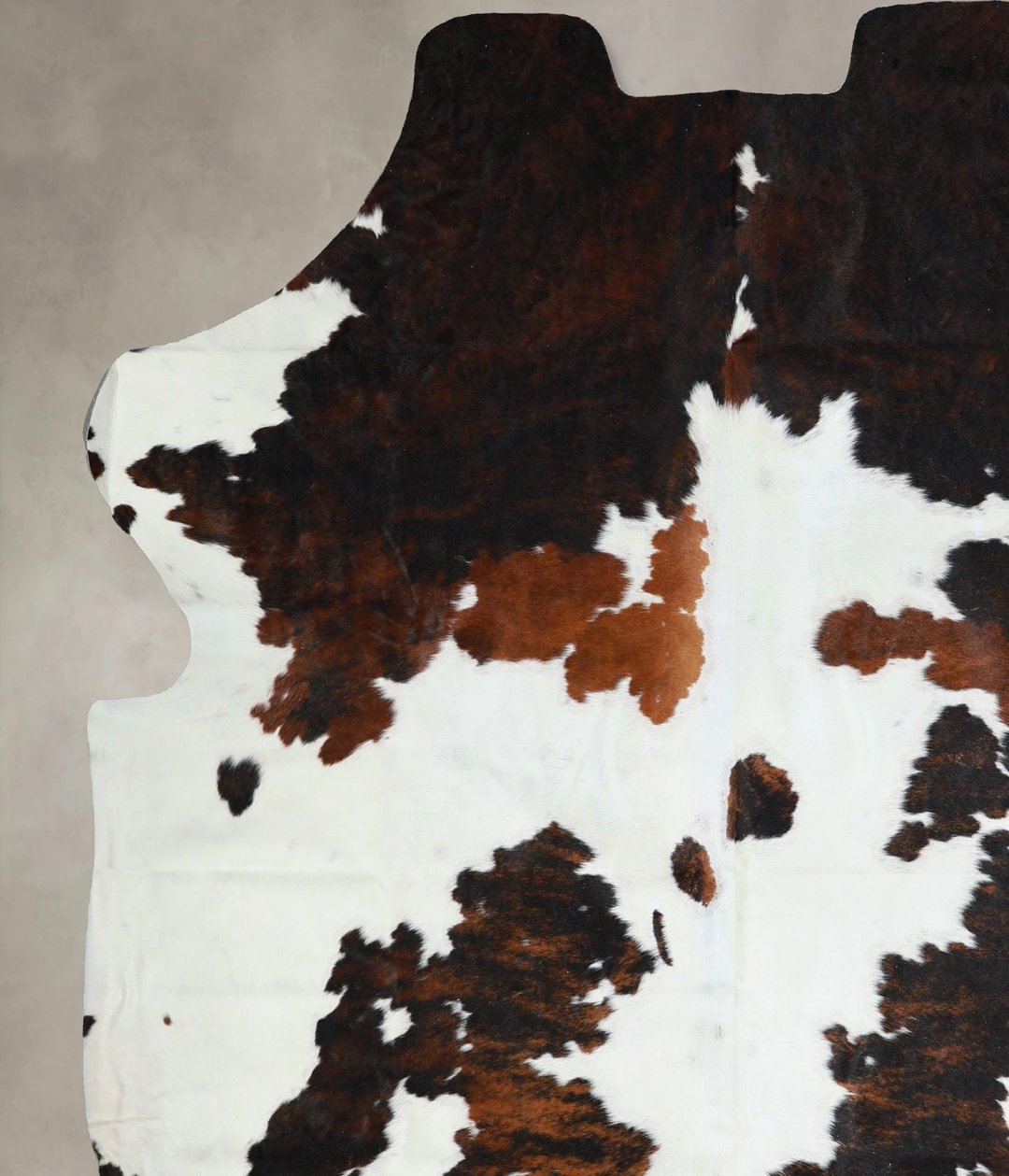 Tricolor XX-Large European Cowhide Rug 7'7"H x 6'9"W #A41861 by Hudson