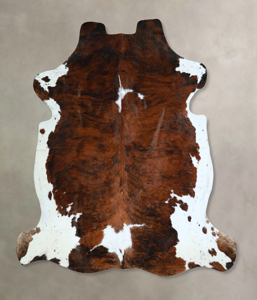 Tricolor X-Large European Cowhide Rug 7'0"H x 7'2"W #A41867 by Hudson Hides