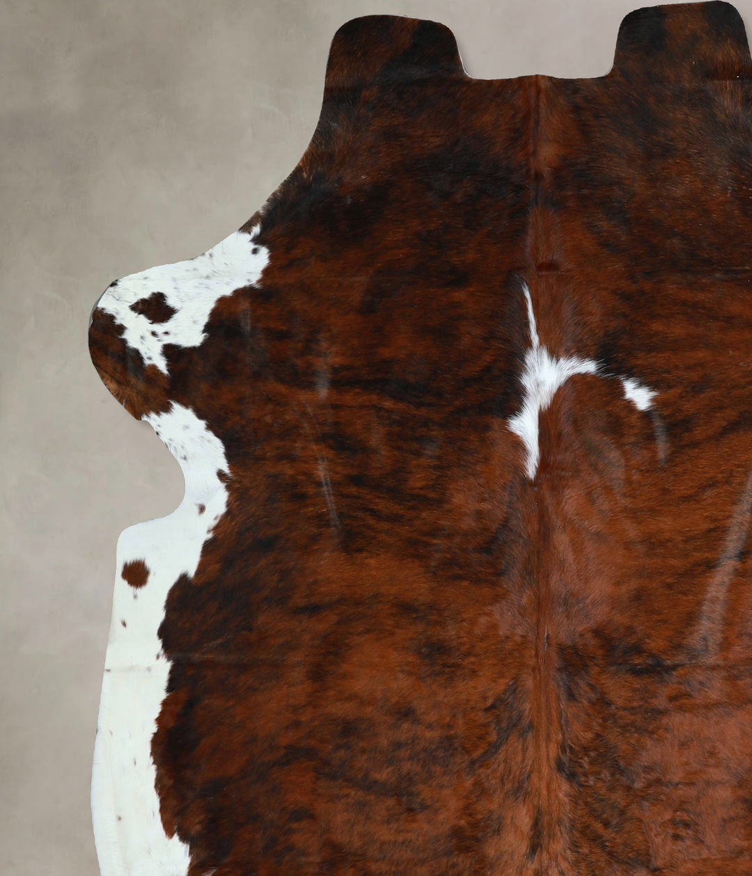 Tricolor X-Large European Cowhide Rug 7'0"H x 7'2"W #A41867 by Hudson 